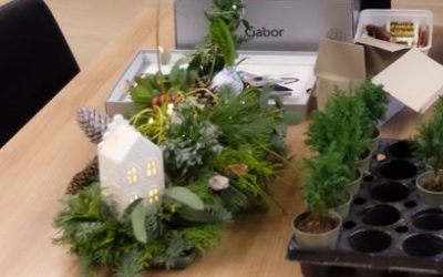 Kerststukjes maken – 17 december 2025