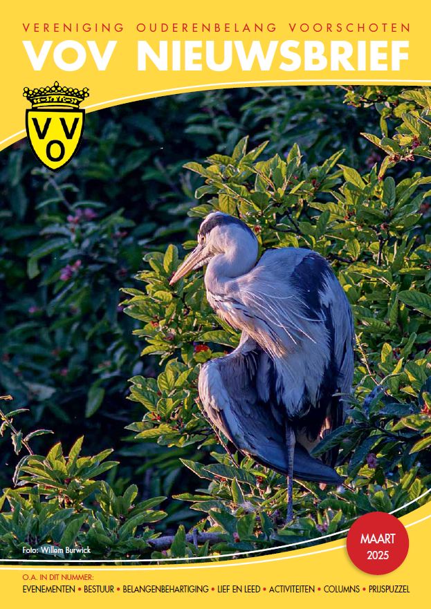 thumbnail of NB-202502